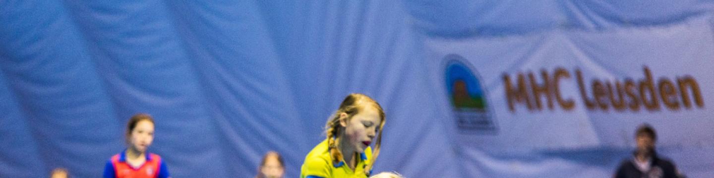 Banner Blaashal MHC Leusden